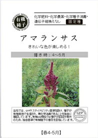 【8月19日以降順次出荷】A535 アマランサス 4560496705569