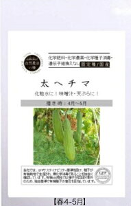 A541 w`} S 4560496705620