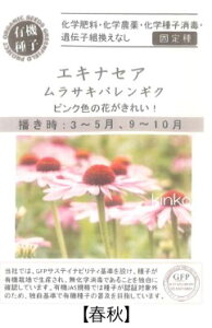 A551 GLiZA/TLoMNitHj 4560496705729