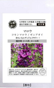 A565 }EiR}E/[jAICjitHj 4560496705866