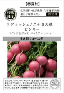 A583 fBbV (\卪 jsL[_ 4560496706047