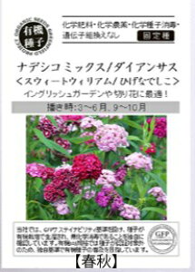 A588 ifVR~bNXi_CATXjXEB[gEBAX_ 4560496706092