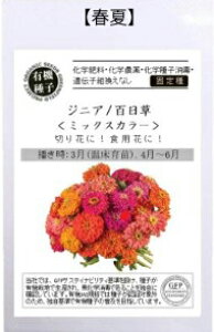 A592 WjA iSj~bNXJ[ _ 4560496706139