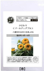 A610 Ђ܂iS[fB[_u j 4560496706313