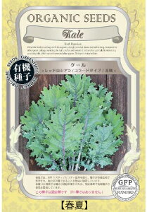 A618 P[ibhVAER[h^Cvj Ԏ _ 4560496706399