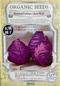 A619 ԂƂ񂪂LxciԃVsbcR[jJ{X_ 4560496706405