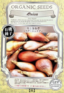 A625 ~jʂ˂@ yA[VFCv  4560496706467