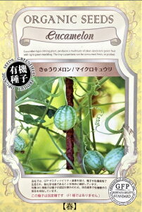 A626 イ胁 / }CNLE 4560496706474