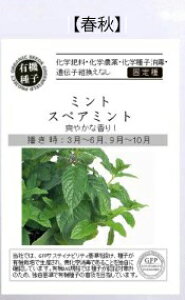 A639 ~g XyA~g 4560496706603