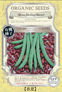 A640 Ȃ / ubVr[Y / ԃCQ  JifBA_[  4560496706610