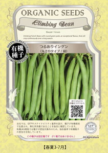 A076 邠CQiۂ^Cv ΁j _4560496700908 _4560496701998
