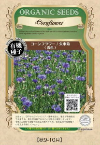 A169 R[t[iԋejF S_ 4560496702346