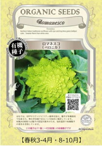 A241 }lXRixjJj_4560496702438 _4560496704739