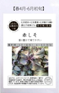 A456 Ԃ S_4560496704760
