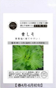 A501  S_4560496705248