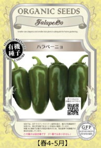 A528 ny[j S 4560496705491