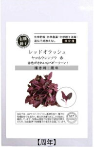 A570 bhIbVi}zE\Ej 4560496705910