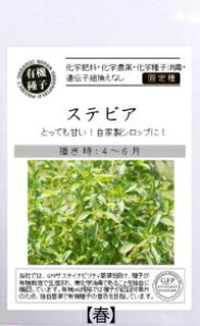 A590 XerA 4560496706115