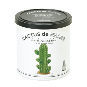 V| SEISHIN JN^X de JN^X T{e ͔|Lbg 4528757039167