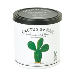 V| SEISHIN JN^X de JN^X E`T{e ͔|Lbg 4528757039174