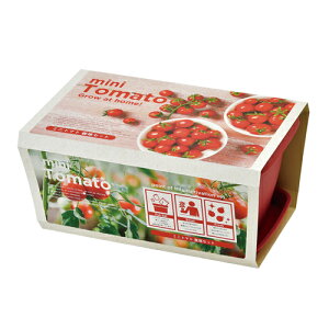 ���V���| SEISHIN ENJOY PLANTER VEGE �G���W���C�v�����^�[ �x�W MINI TOMATO �~�j�g�}�g �͔|�Z�b�g �͔|�L�b�g GD-93102 �ƒ�؉��X�^�[�^�[ ��؍͔| �������| �H�� �C���h�A �x�����_�K�[�f�j���O ��