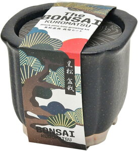 V| SEISHIN The BONSAI ͔|Lbg  GD-99201 Japanese Style̖~͍͔|Zbg 4528757040620