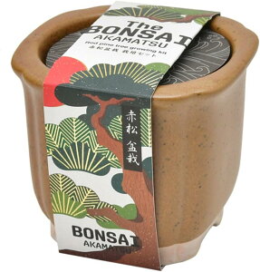 V| SEISHIN The BONSAI ͔|Lbg ԏ GD-99201 Japanese Style̖~͍͔|Zbg 4528757040637