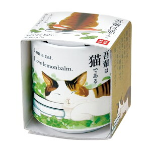 V| SEISHIN ł傱yL@o[ GD102802 4528757042082