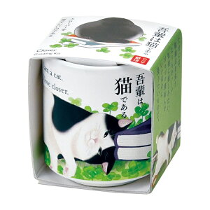 V| SEISHIN ł傱 yL N[o[ GD1028-04 4528757042105