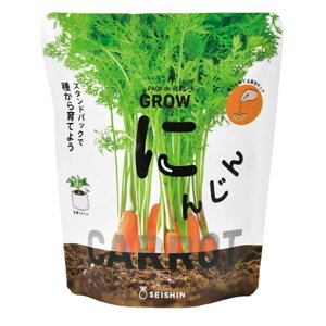���V���| SEISHIN �R���p�N�g�Ɉ�Ă�~�j��؍͔|�L�b�g �x�W�p�b�N MINI CARROT �~�j�L�����b�g �j���W�� �ɂ񂶂� ��y�Ɉ�Ă��؃L�b�g GD-105802 ��؍͔| �������| �H�� �C���h�A �K�[�f�j