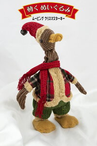 ʂ݁i[rONX}X^[L[j NX}X p[eB[ 