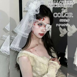 [^ wAANZT[ x[ o t[ {[  ChwAs [X AC}XN ډB nEB  SVbNn [^ ANZT[nEC  ubN n