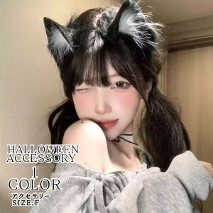 L J`[V l wAsnEB  RX ˂ L J`[V 킢  Zbg ӂӂ ubN zCg lR LbY lp ANZT[ L nEC 