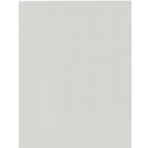 GXPg Pg X^[J[ A4 p[OC 100 5723007