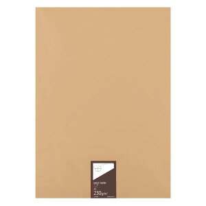 �R�N��(KOKUYO) �P���g�� A1 100�� 230g �Z-KP36