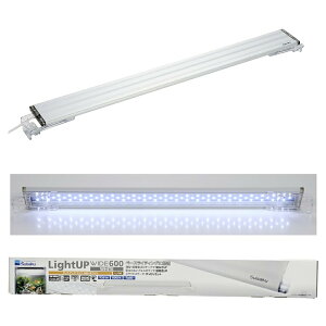  CgAbv WIDE 600 zCg 60-70cmp