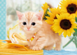 G|bN 108s[X WO\[pY /ybg ˂ ˂̂Ȃ₷ (18.2×25.7cm) 01-057 ̂t wt _t EPOCH