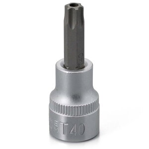 fCgi(Daytona) oCNp H wNTr(stgNX) \Pbg ~ T-40H p3/8C` 18485