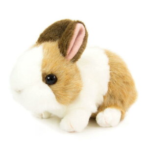 g 肭̂Ȃ܂ ʂ ETM uE 180499