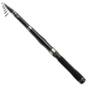 _C(DAIWA) 傢ETrL \Uobh oeBNuCgpbN 30-180 ނ