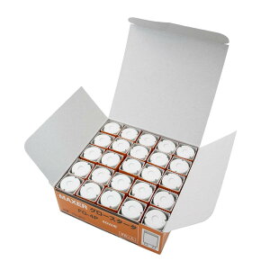 }NT[d@ O[ P` FG-4P 25 40W p  P21 (2{) ȈՕi Ɩp ~p