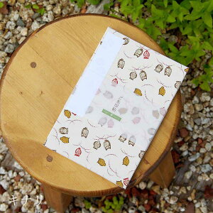 y唻z󒠁@OFӂ낤i/Lij ֕ 48  [o W a 킢m[g a{ ΂ AR[fBI  t _  s 