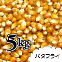 ポップコーン豆5kg【バタフライ種】