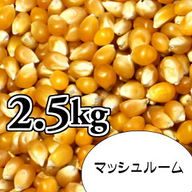 ポップコーン豆2.5kg【マッシュルーム種】