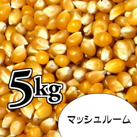 ポップコーン豆5kg【マッシュルーム種】