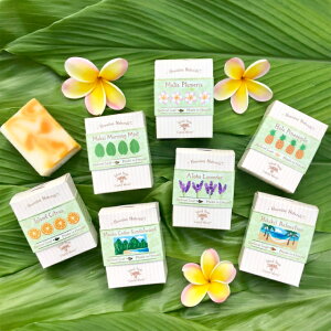 nCA nhCh\[v Island Soap & Candle Works i`\[v Ō` Ό \[v ێ nCAG nC ACh\[v nCA XLPA