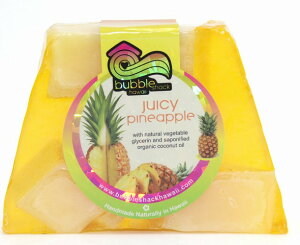 nCA I[KjbN nCAG Ό \[v ouVbNnC Bubble Shack Hawaii `N\[v (pCibv) nCG nC yY nCA