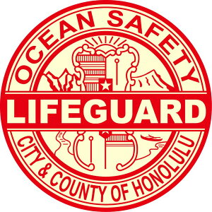 nCAG CeA nCA G HID AChfUC XebJ[ (LIFE GURD CtK[h) [֑Ή nCAG nC yY nCA CeA