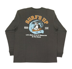 ���� T�V���c �����Y ����T �g�b�v�X �T�[�t�Y�A�b�v SURF�fS UP 2025�V�� �H�~ �n���C�A�� (�����Y/�`���R�[���O���[) 254SU1LT203 �T�[�t�u�����h �n���C�A���G�� �T�[�t�@�[ �n���C �o�b�N�v����