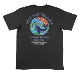 半袖 メンズ Tシャツ フララニ ハワイ ハワイアン サーフブランド (メンズ/チャコールグレー) Hulalani ハワイアン雑貨 232HU1ST047 送料無料 サーフ 雑貨 ハワイ